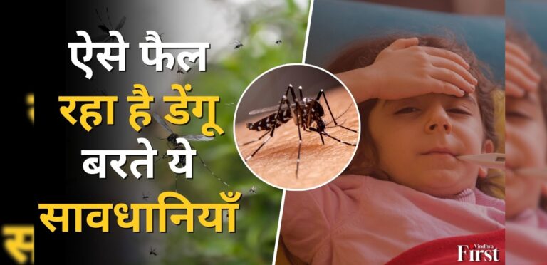 डेंगू जैसी जानलेवा बीमारी: लक्षण, बचने के लिए करें ये उपाय