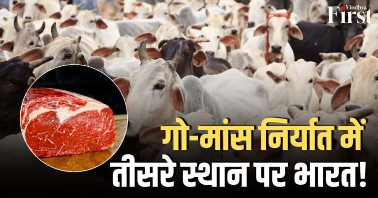भारत का बीफ निर्यात: भैंस के मांस की वैश्विक मांग और सामाजिक वास्तविकताएं