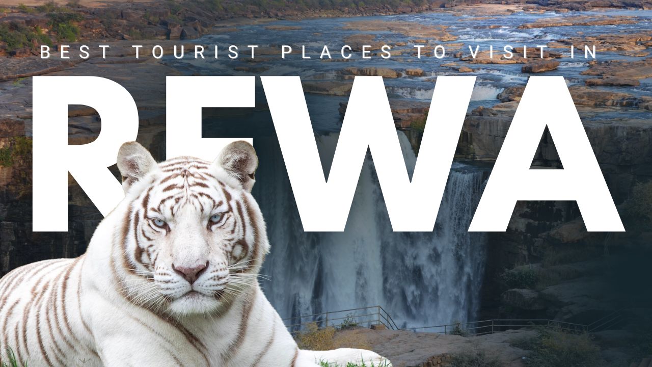 Rewa Tourist Places – रीवा घूमने की जगहें | Best Madhya Pradesh Tourist Places