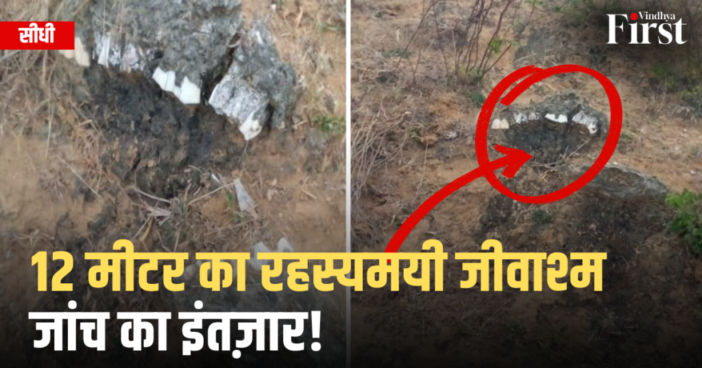 सीधी: सीधी में 12 मीटर का रहस्यमयी जीवाश्म, जांच का इंतज़ार!