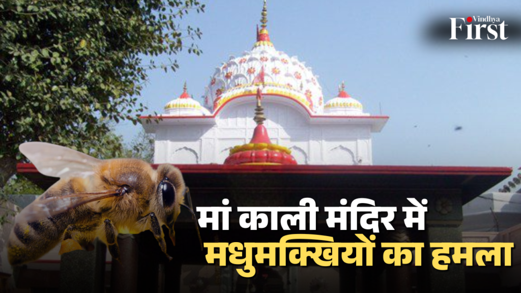 रीवा के सिमरिया क्षेत्र के खड्डा गांव में चैत्र नवरात्रि के पहले दिन मां काली मंदिर में मधुमक्खियों के हमले से कई श्रद्धालु घायल हो गए.
