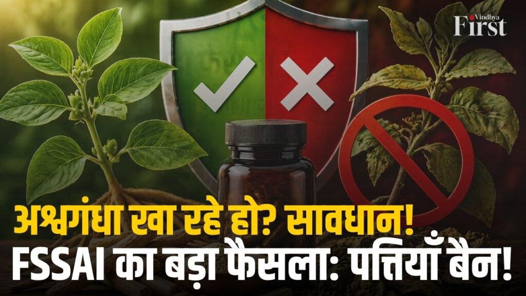 श्वगंधा लेने से पहले रुकिए! अब नया नियम आ चुका है—Food Safety and Standards Authority of India के अनुसार सिर्फ जड़ (Root) ही सुरक्षित मानी जाएगी, पत्तियाँ पूरी तरह बैन
