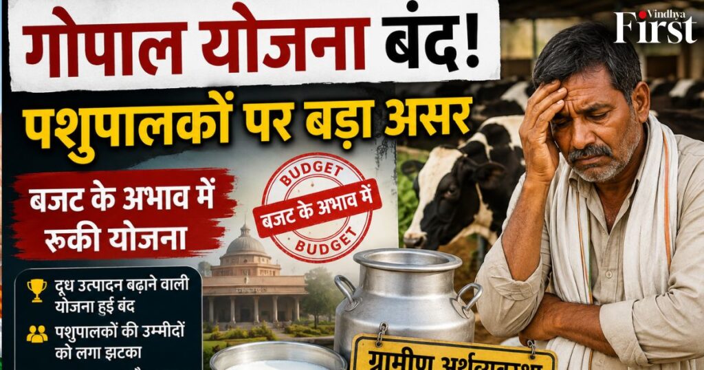 दूध उत्पादन बढ़ाने वाली ‘गोपाल योजना’ बंद होने से ग्रामीण अर्थव्यवस्था पर संकट गहराने लगा है। आखिर कब मिलेगी पशुपालकों को राहत?