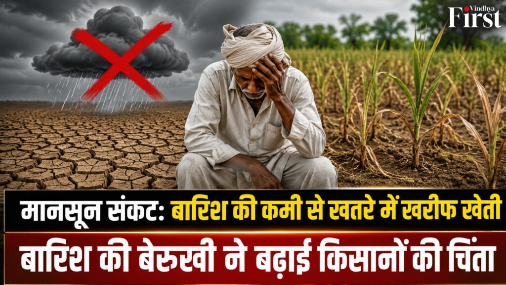 मानसून की बेरुखी बनी किसानों के लिए बड़ी चुनौती! बारिश की कमी से खरीफ फसलों पर संकट गहराता जा रहा है. क्या समय पर बारिश होगी या किसानों की मेहनत पर फिर जाएगा पानी?