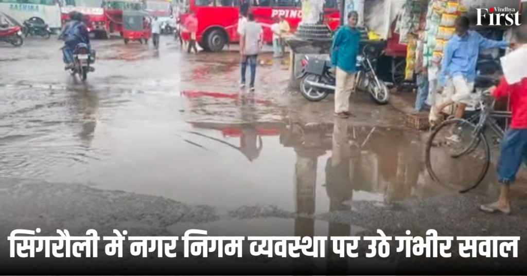 Singrauli News: सिंगरौली में नगर निगम व्यवस्था पर उठे गंभीर सवाल