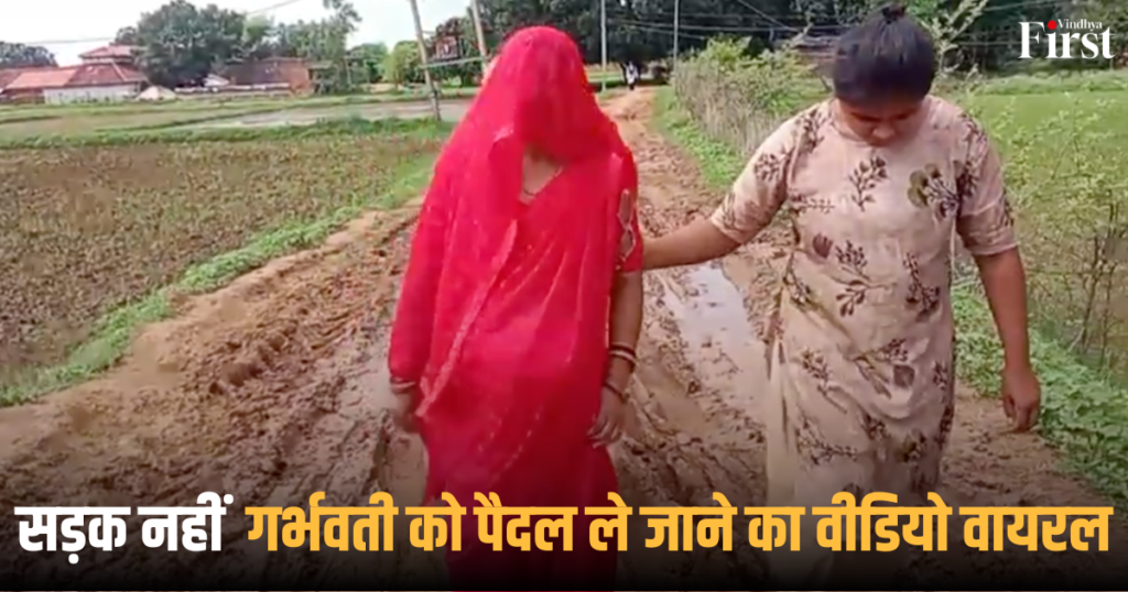 मऊगंज: सड़क नहीं, गर्भवती को पैदल ले जाने का वीडियो वायरल