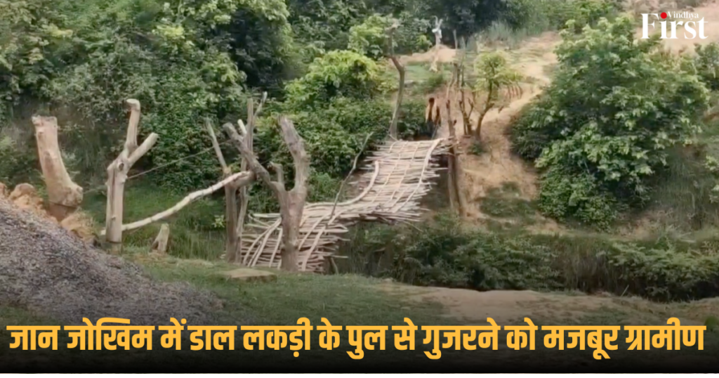Rewa: जान जोखिम में डाल लकड़ी के पुल से गुजरने को मजबूर ग्रामीण